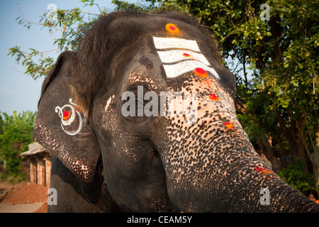 Dipinto Lakshmi, il tempio di elefante, Sito Patrimonio Mondiale dell'UNESCO, Hampi, India, Asia Foto Stock