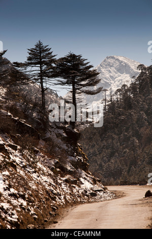 India, Arunachal Pradesh, Sela, strada, senge, passando attraverso la foresta di pini di seguito innevate montagne himalayane Foto Stock