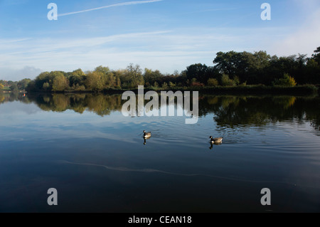 Freccia valley lake country park redditch worcestershire Foto Stock