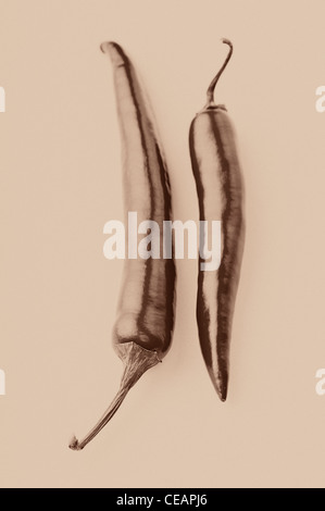 Peperoni di peperoncino rosso Foto Stock