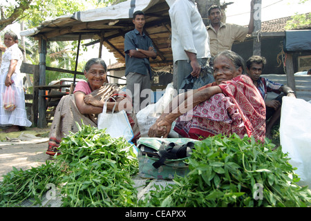 Due donna sat lavora al mercato, Hikkaduwa, Sri Lanka Foto Stock