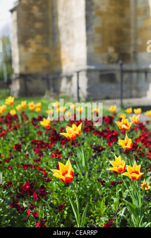 Città di evesham worcestershire Foto Stock