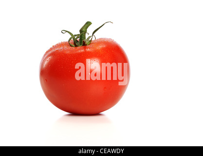 Pomodoro rosso con gocce d'acqua isolate su uno sfondo bianco Foto Stock