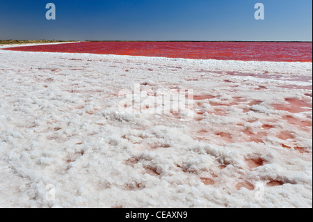 Colori bianco e rosso, in una salina vicino a Walvis Bay, Namibia Foto Stock