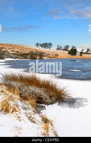 Caduta di neve fresca a un laghetto congelato al Priddy Mineries su Mendip Hills, Priddy, Somerset, Inghilterra, Regno Unito. Foto Stock