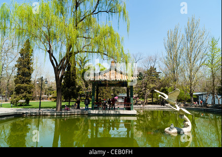 Stagno, Ritan Park, Chaoyang District, Pechino, Cina, Asia. Foto Stock