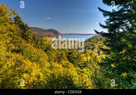 Baia di Fundy, Fundy National Park, New Brunswick Foto Stock