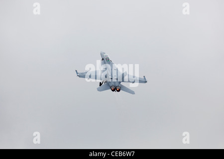 F/A-18F Super Hornet, Royal International Air Tattoo, RAF Fairford, Gloucestershire 18/07/2010 Foto Stock