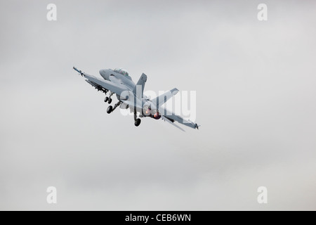 F/A-18F Super Hornet, Royal International Air Tattoo, RAF Fairford, Gloucestershire 18/07/2010 Foto Stock