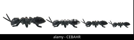 La linea di giocattoli le formiche Foto Stock