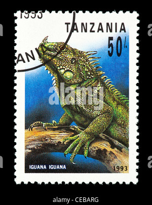 Francobollo dalla Tanzania raffigurante un iguana. Foto Stock