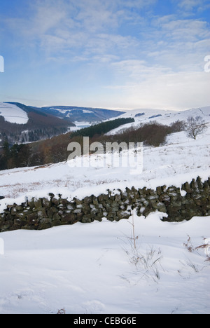 Neve pesante nella Derwent Valley e Ladybower serbatoio - Parco Nazionale di Peak District Foto Stock