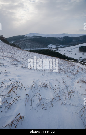 Neve pesante nella Derwent Valley e Ladybower serbatoio - Parco Nazionale di Peak District Foto Stock