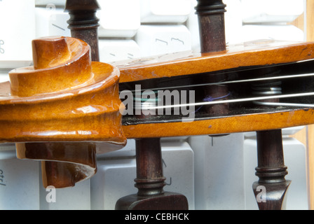 Il Violino, pioli, le stringhe Foto Stock