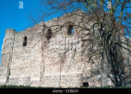 Le rovine di un castello normanno, Canterbury, Kent, Regno Unito. Foto Stock