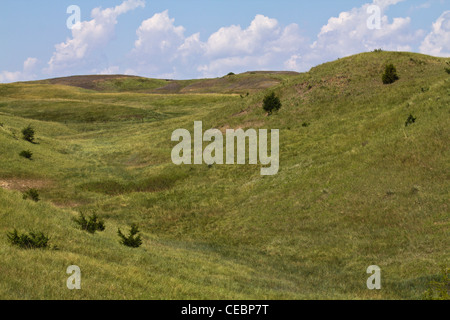 American Great Plains Custer State Park South Dakota negli Stati Uniti splendide praterie di preghiere paesaggio natura basso angolo nessuno orizzontale ad alta risoluzione Foto Stock