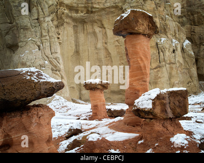 Hodoos con neve a Toadstool la formazione nella scala di Escalante National Monument, Utah Foto Stock