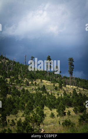 American Black Hills National Forest Custer State Park South Dakota negli Stati Uniti nessuno paesaggio selvaggio incombente tempesta sfondi verticali ad alta risoluzione Foto Stock