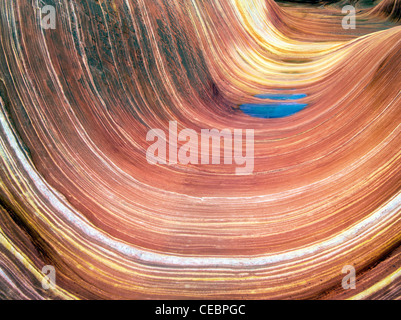 Formazione Sandtone in Nord Coyote Buttes, l'onda. Paria Canyon Vermillion Cliffs Wilderness. Utah e Arizona Foto Stock