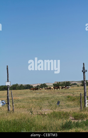 Riserva nativa americana Oglala tribù Sioux Lakota Badlands South Dakota negli Stati Uniti America paesaggio rurale Stati Uniti alta risoluzione verticale Foto Stock