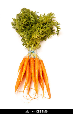 Mazzo di carote fresche isolate su un bianco di sfondo per studio. Foto Stock