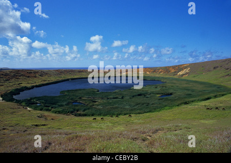 Isola di Pasqua, Cile Foto Stock