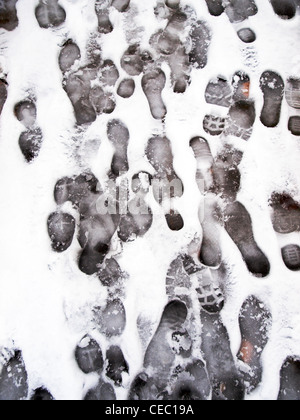 Un sacco di Orme nella neve Foto Stock