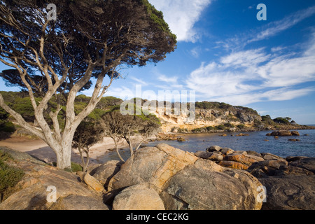 Bunker Bay, vicino per Dunsborough. Geographe Bay, Australia occidentale, Australia Foto Stock
