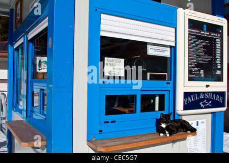 Gatto nella parte anteriore di un impianto di risalita operatori chiosco Cortina d'Ampezzo, Dolomiti , Italia Foto Stock