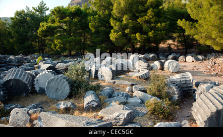 Colonne di caduti dal tempio di Athena nel Mar Ionio antica città di Priene Turchia Antalya Foto Stock