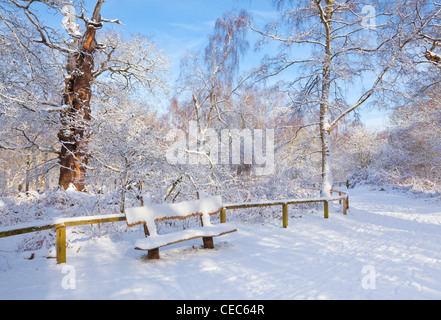 Panca in legno sul sentiero coperto di neve fresca foresta di Sherwood country park edwinstowe nottinghamshire England Regno unito Gb eu europe Foto Stock