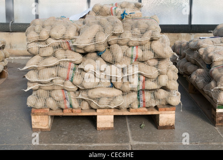 Sacchetti di patate su un pallet Foto Stock