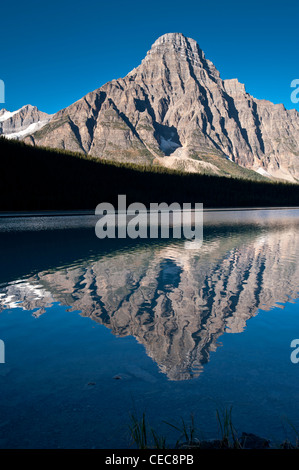 Mattina in alto lago di uccelli acquatici, Icefield Parkway, Alberta, Canada. Foto Stock