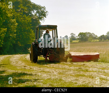 Trattore fieno di falciatura vicino Gransden Cambridgeshire Inghilterra Foto Stock