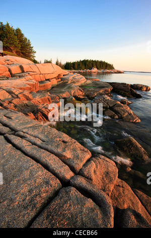 La mattina presto sulla costa del Maine il grande Wass isola vicino Jonesport. Nature Conservancy preservare. Foto Stock