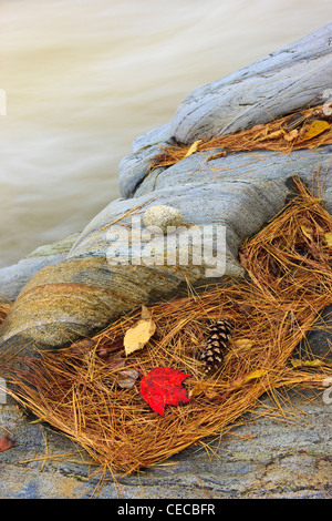 Le cascate di Coo Canyon in Byron, Maine. Caduta. Foto Stock