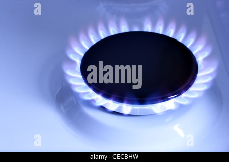 Gas blu fiamma sul piano di cottura close up Foto Stock