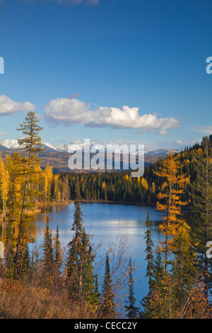 Il lago di Marshall in autunno nella missione le montagne con la Snow capped gamma Swan in background nel Lolo NF, Montana, USA Foto Stock