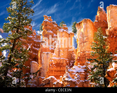 Neve nel Parco Nazionale di Bryce Canyon, Utah Foto Stock