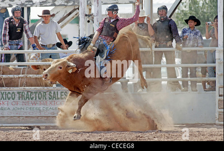 Socorro, Nuovo Messico, Stati Uniti d'America. Concorrente prendendo parte al toro di equitazione concorrenza durante il rodeo annuale. Foto Stock