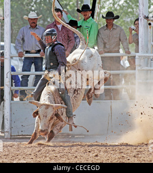 Socorro, Nuovo Messico, Stati Uniti d'America. Concorrente prendendo parte al toro di equitazione concorrenza durante il rodeo annuale. Foto Stock