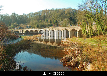 Viadotto ferroviario su via navigabile in coalbrookdale, shropshire, Regno Unito Foto Stock