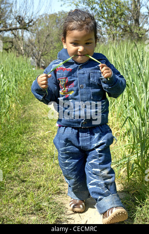 Little Boy in una fattoria di grano Foto Stock