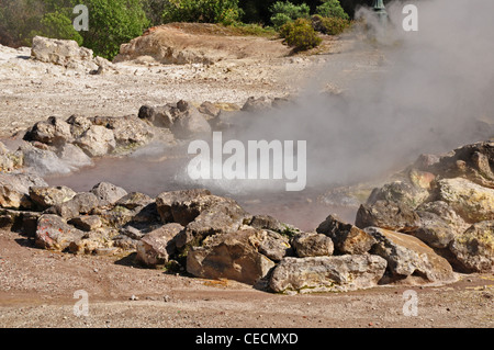 L'Europa, PORTOGALLO Azzorre, São Miguel, Caldeiras, fumanti sorgenti calde che mostra attività geotermica Foto Stock