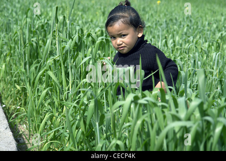 Little Boy giocando in una fattoria di grano Foto Stock