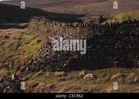 Un ottimo esempio dell'arte della costruzione di pareti in pietra a secco a Teesdale, nella contea di Durham, Inghilterra nord-orientale. Foto Stock