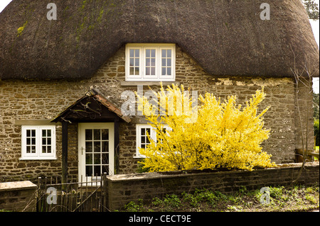 Coltivazione blossom nel piccolo giardino con paglia spazio cottagecopy& Foto Stock