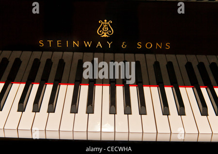 Close up di un Steinway e figli grand piano tastiera Foto Stock