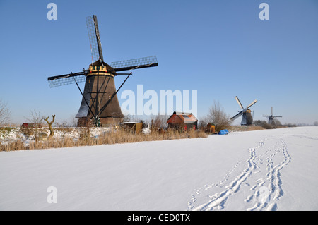 Olandese di mulini a vento in inverno, Kinderdijk, Paesi Bassi, Europa Foto Stock