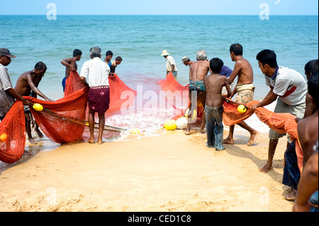 Local fishermans tirando net dall'oceano. La pesca in Sri Lanka è un lavoro duro ma questo è il loro modo di guadagnarsi da vivere Foto Stock